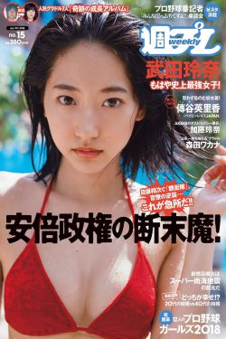 少年大钦差演员表